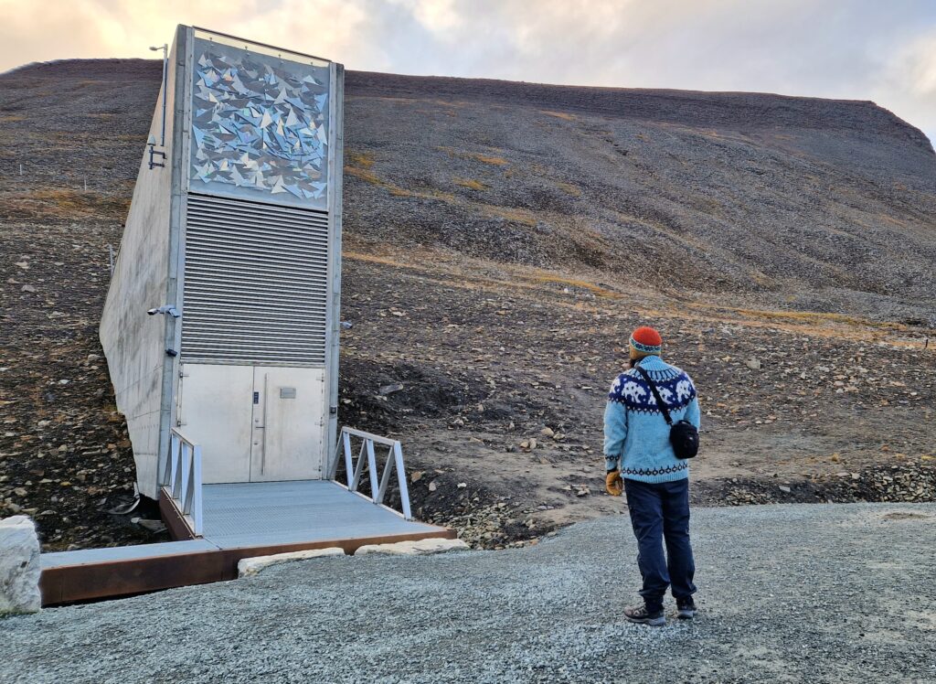 The northern lights artwork on the Global Seed Vault on Svalbard