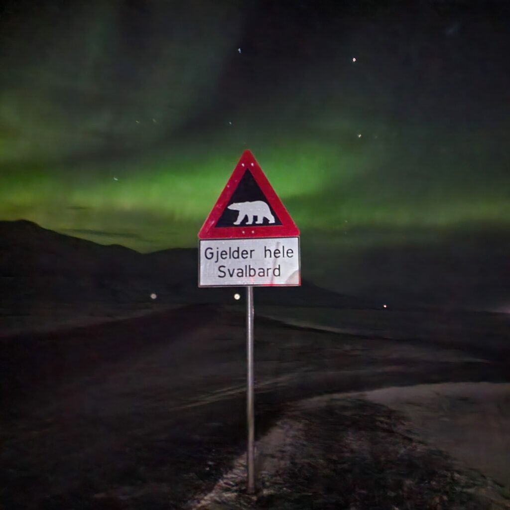 Go on a northern lights hunt on Svalbard