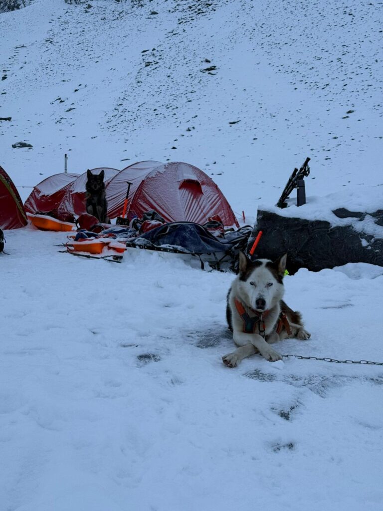 Campsite for one night in the Arctic with Backyard Svalbard