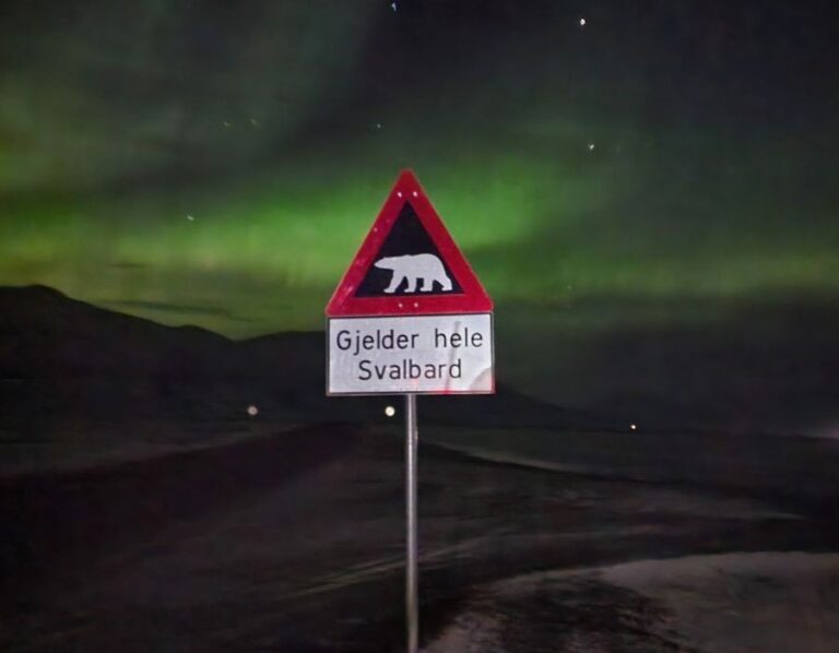 Polar bear sign with northern lights in the background. How to view the northern lights on Svalbard? Join a guided tour with Backyard Svalbard