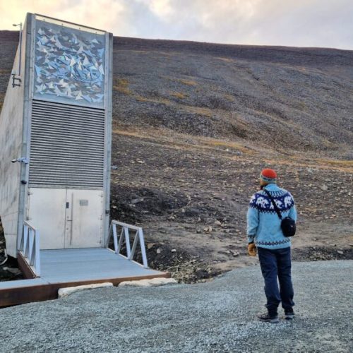 The northern lights artwork on the Global Seed Vault on Svalbard