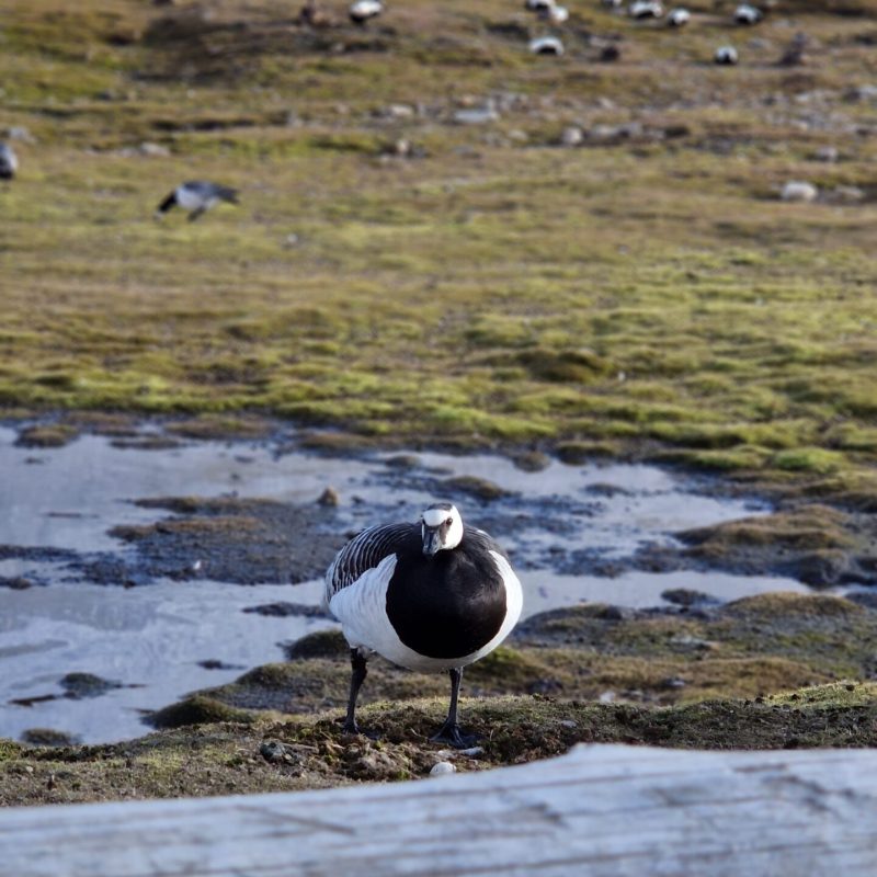 Photo by Mona Kristoffersen