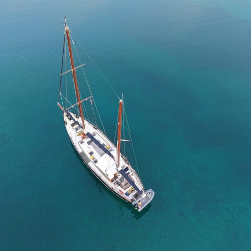 Photo by: Tallship Saeftinghe. Magnan Alexandre