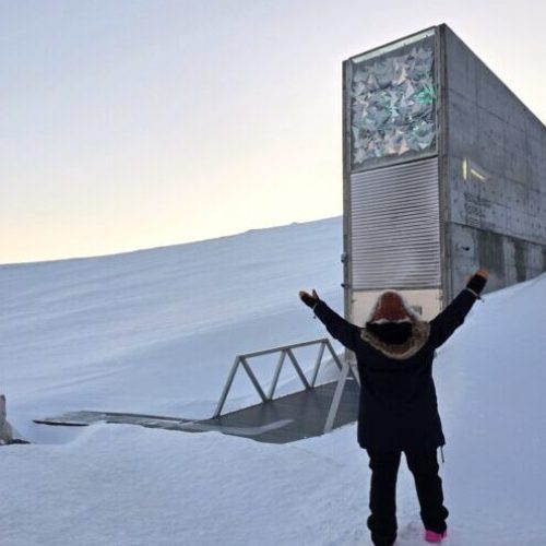 Visit the Global Seed Vault and iconic places in Longyearbyen