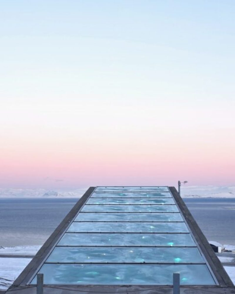 Exclusive visit the Global Seed Vault with small group and local guide